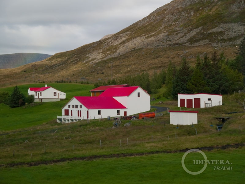 Яркие домики украшают исландские берега