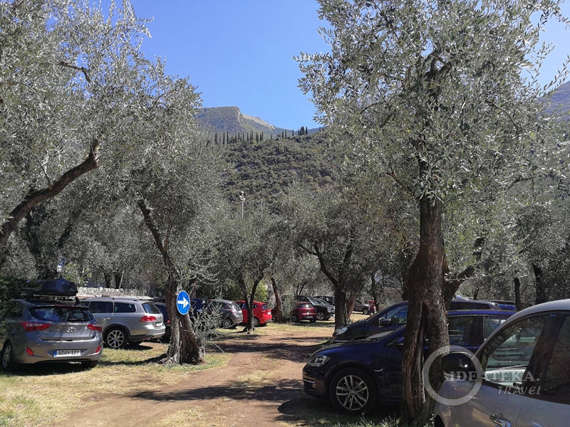 Парковка в оливковом саду