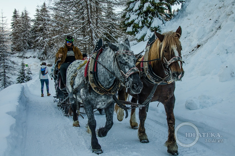 Зимой до Fuciade можно добраться на лошадках...
