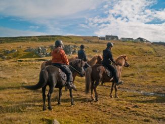 Прогулка на лошадях недалеко от Торсхавна