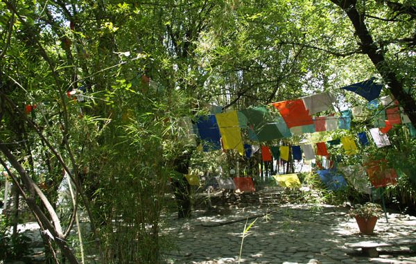 Тенистый сад в центре Norbulingka