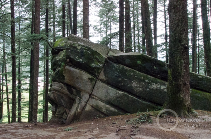 Необычный камень в лесу Манали