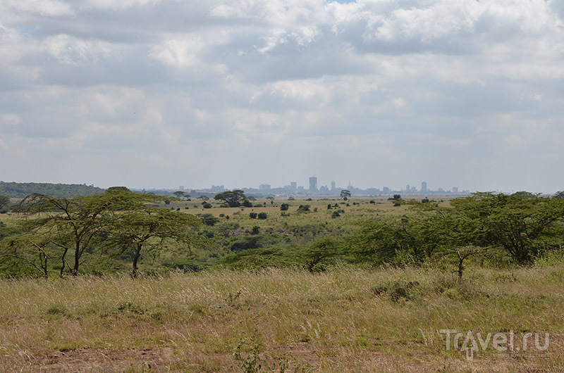 Панорама национального парка и города Найроби