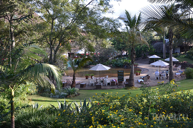 Ресторан у бассейна, Safari Park Hotel