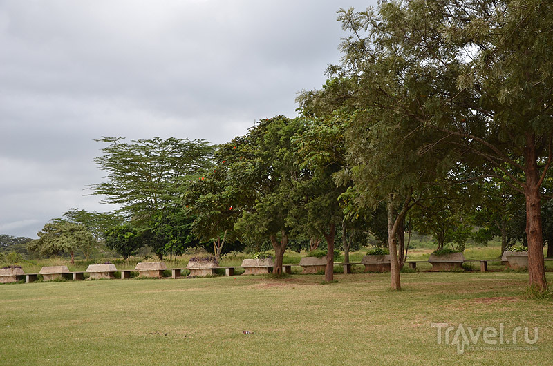 Лужайка в Uhuru Gardens