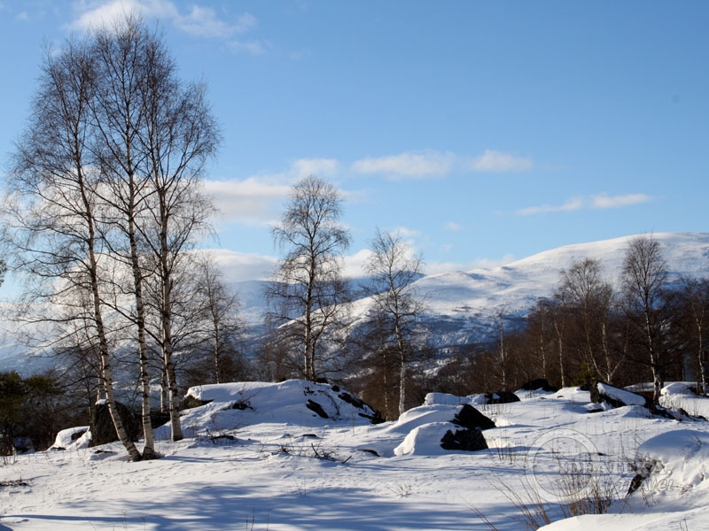 Вид со склонов Оппдала, Норвегия