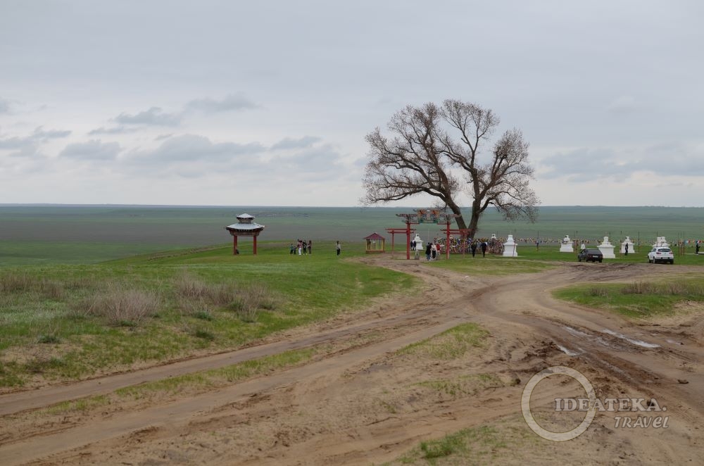 Размытая дорога к Одинокому тополю
